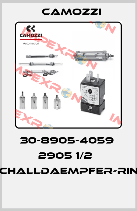 30-8905-4059  2905 1/2   SCHALLDAEMPFER-RING  Camozzi