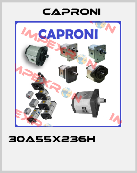 30A55X236H            Caproni