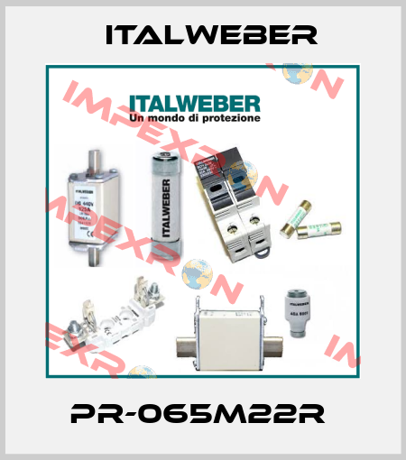 PR-065M22R  Italweber