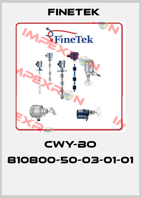 CWY-BO 810800-50-03-01-01  Finetek