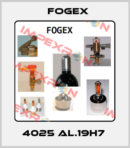 4025 AL.19H7  Fogex
