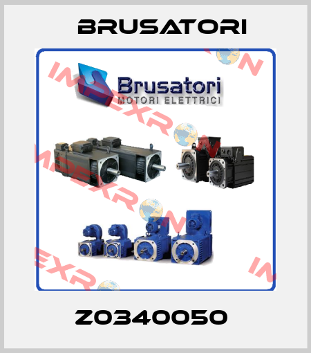 Z0340050  Brusatori