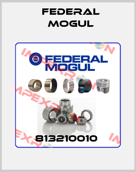 813210010  Federal Mogul