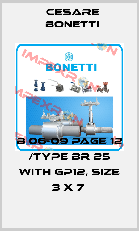 B 06-09 PAGE 12 /TYPE BR 25 WITH GP12, SIZE 3 X 7  Cesare Bonetti