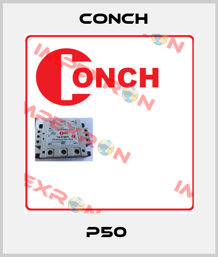 P50  Conch