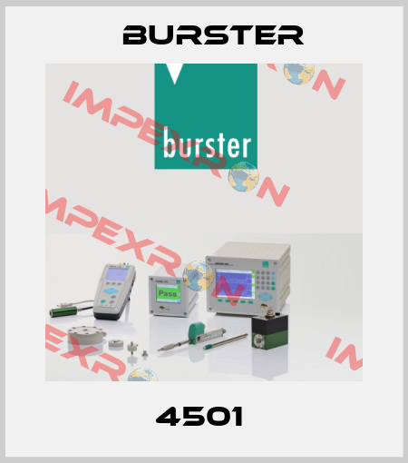 4501  Burster