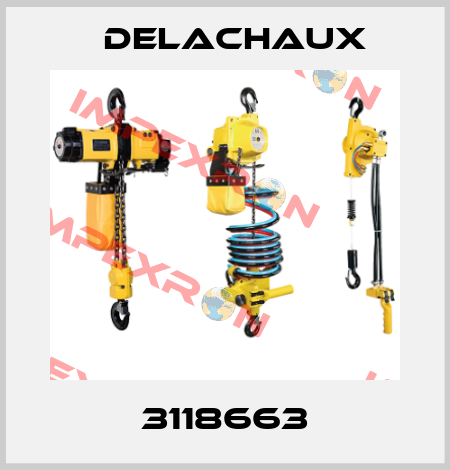 3118663 Delachaux