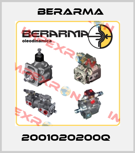 2001020200Q  Berarma