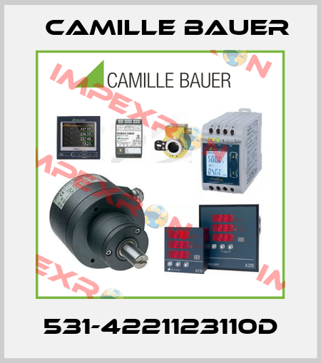 531-4221123110D Camille Bauer