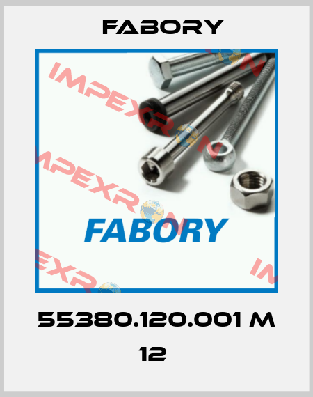55380.120.001 M 12  Fabory