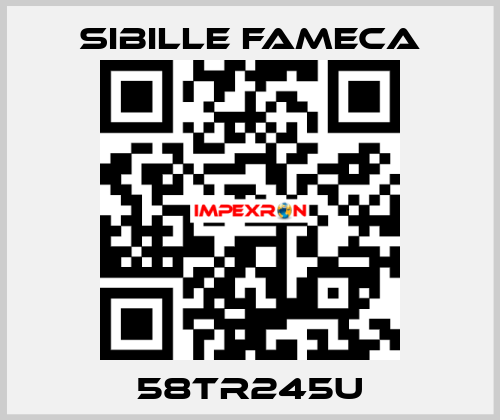 58TR245U  Sibille Fameca