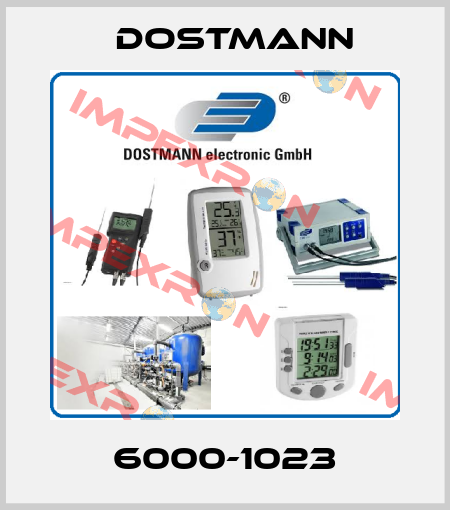 6000-1023 Dostmann