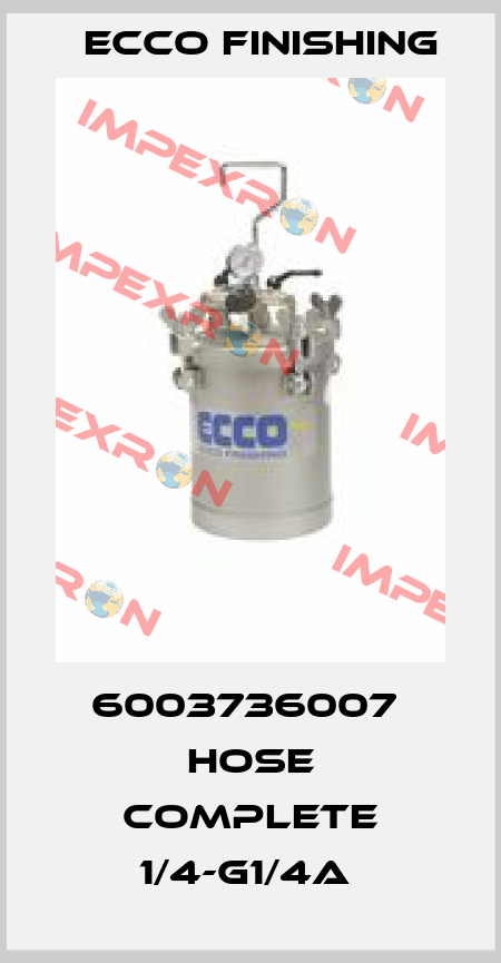 6003736007  HOSE COMPLETE 1/4-G1/4A  Ecco Finishing
