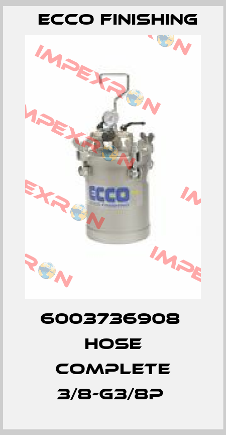 6003736908  HOSE COMPLETE 3/8-G3/8P  Ecco Finishing
