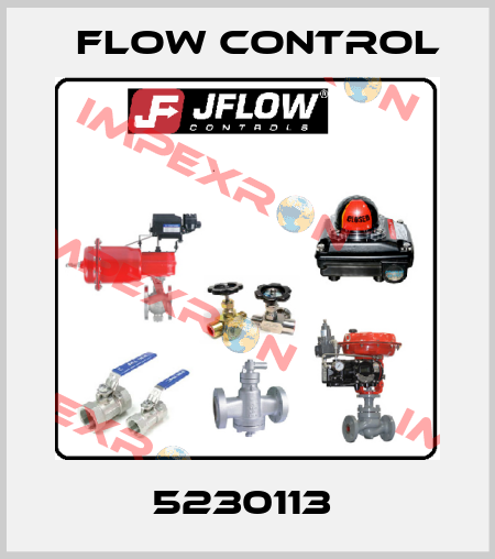5230113  Flow Control