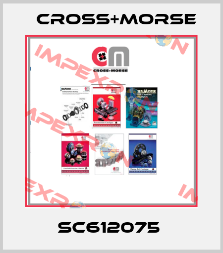 SC612075  Cross+Morse