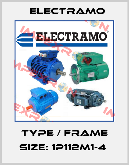 Type / Frame size: 1P112M1-4  Electramo