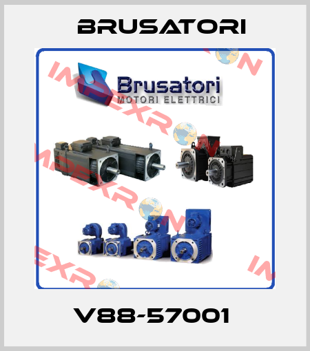 V88-57001  Brusatori