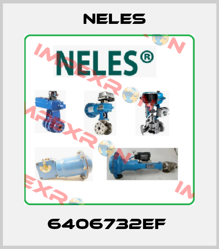 6406732EF  Neles