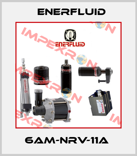 6AM-NRV-11A  Enerfluid