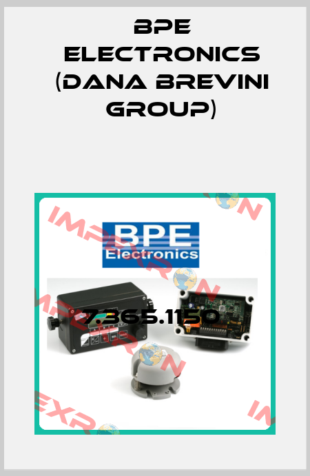 7.365.1150  BPE Electronics (Dana Brevini Group)