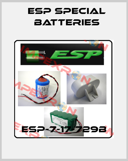 ESP-7-17-729B ESP Special Batteries
