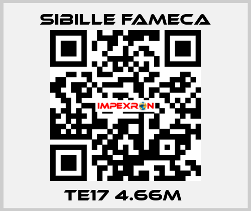 TE17 4.66M  Sibille Fameca