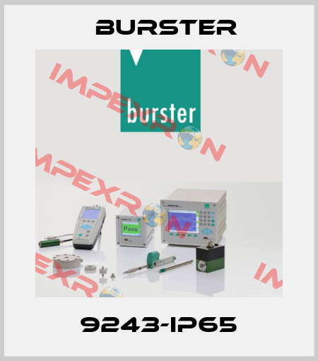 9243-IP65 Burster