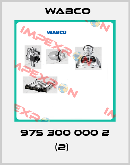 975 300 000 2 (2)   Wabco