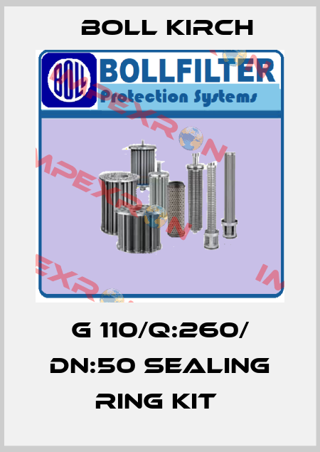 G 110/Q:260/ DN:50 Sealing ring kit  Boll Kirch