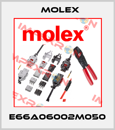 E66A06002M050 Molex