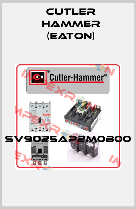 SV9025AP2M0B00  Cutler Hammer (Eaton)