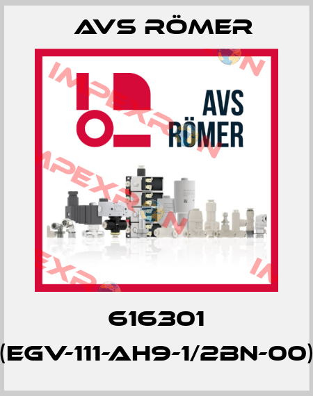 616301 (EGV-111-AH9-1/2BN-00) Avs Römer