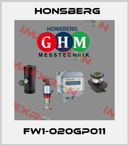 FW1-020GP011 Honsberg