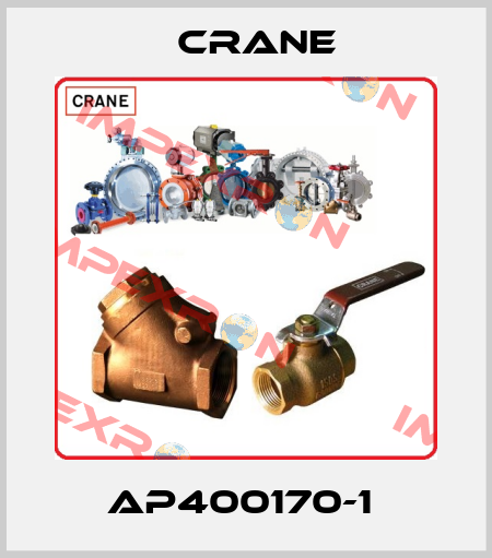AP400170-1  Crane