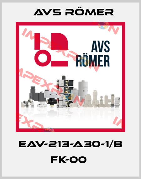 EAV-213-A30-1/8 FK-00  Avs Römer