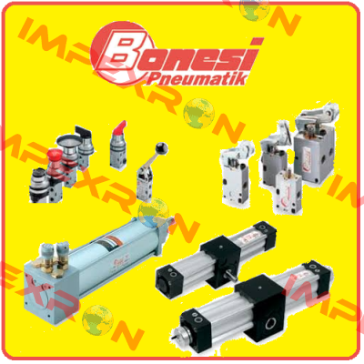 AS R 4  Bonesi Pneumatic