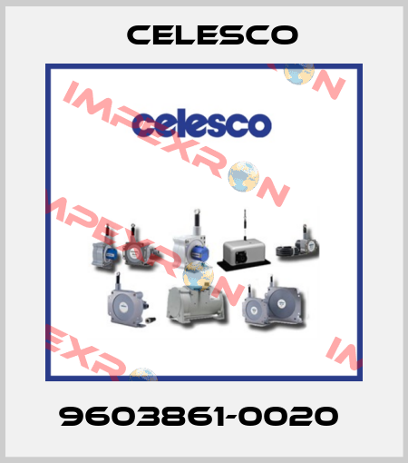 9603861-0020  Celesco