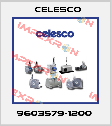 9603579-1200  Celesco