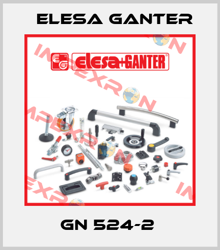 GN 524-2  Elesa Ganter