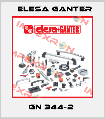 GN 344-2  Elesa Ganter