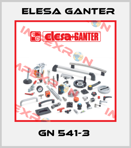 GN 541-3  Elesa Ganter