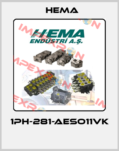 1PH-281-AESO11VK  Hema