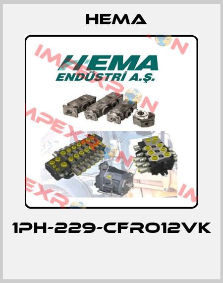 1PH-229-CFRO12VK  Hema