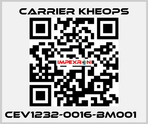 CEV1232-0016-BM001   Carrier Kheops
