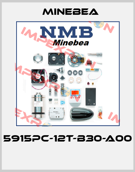 5915PC-12T-B30-A00  Minebea