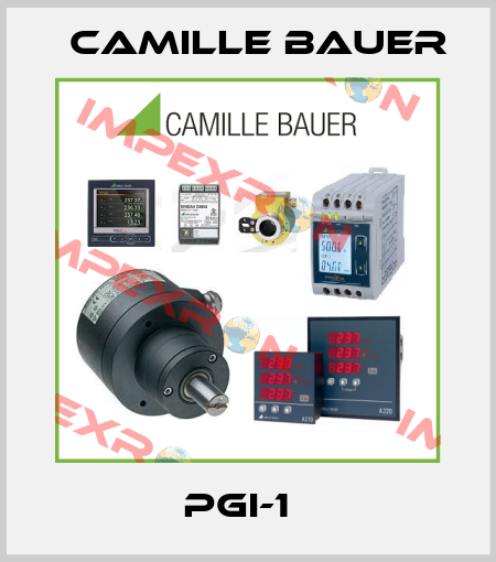 PGI-1   Camille Bauer