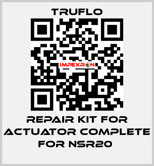 Repair Kit For Actuator Complete For NSR20  TRUFLO