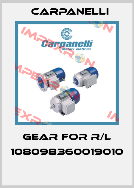 Gear for R/L 108098360019010  Carpanelli