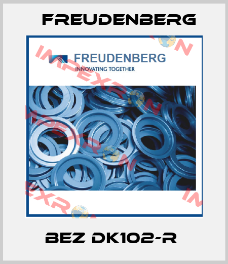 BEZ DK102-R  Freudenberg